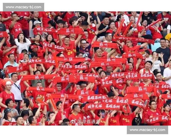 球迷狂欢！苏超直播见证历史时刻，球队创下惊人纪录