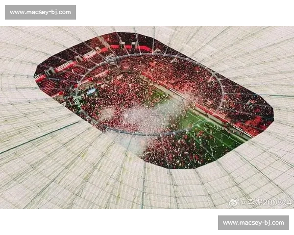 球迷狂欢！德甲年度最佳球员的诞生，点燃了整个赛季的激情